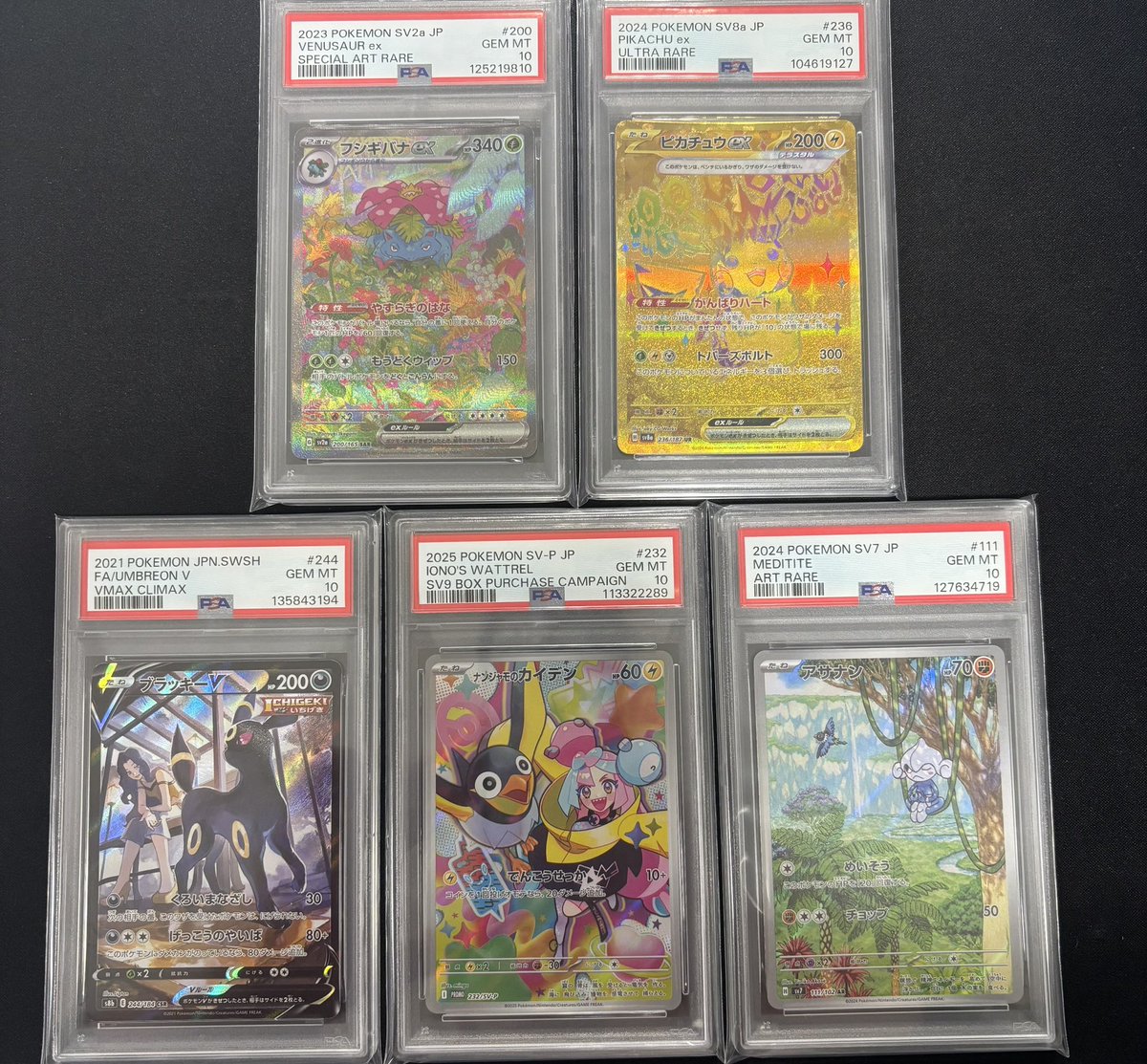 🌟⭐️入荷情報⭐️🌟 ✓フシギバナex SAR PSA10 ✓ピカチュウex UR