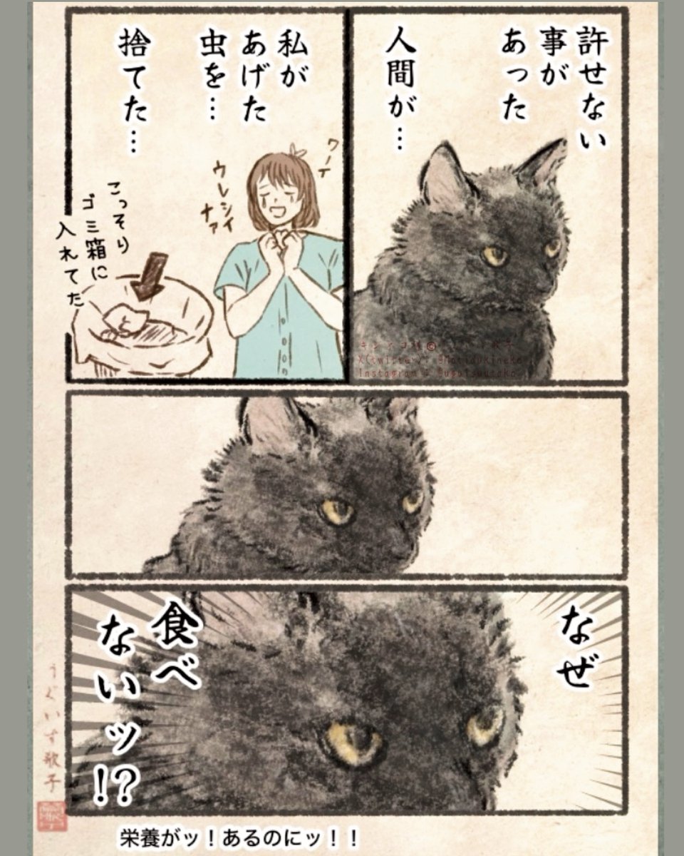 キジネコ様 (@Motidukineko) / Highlights / X