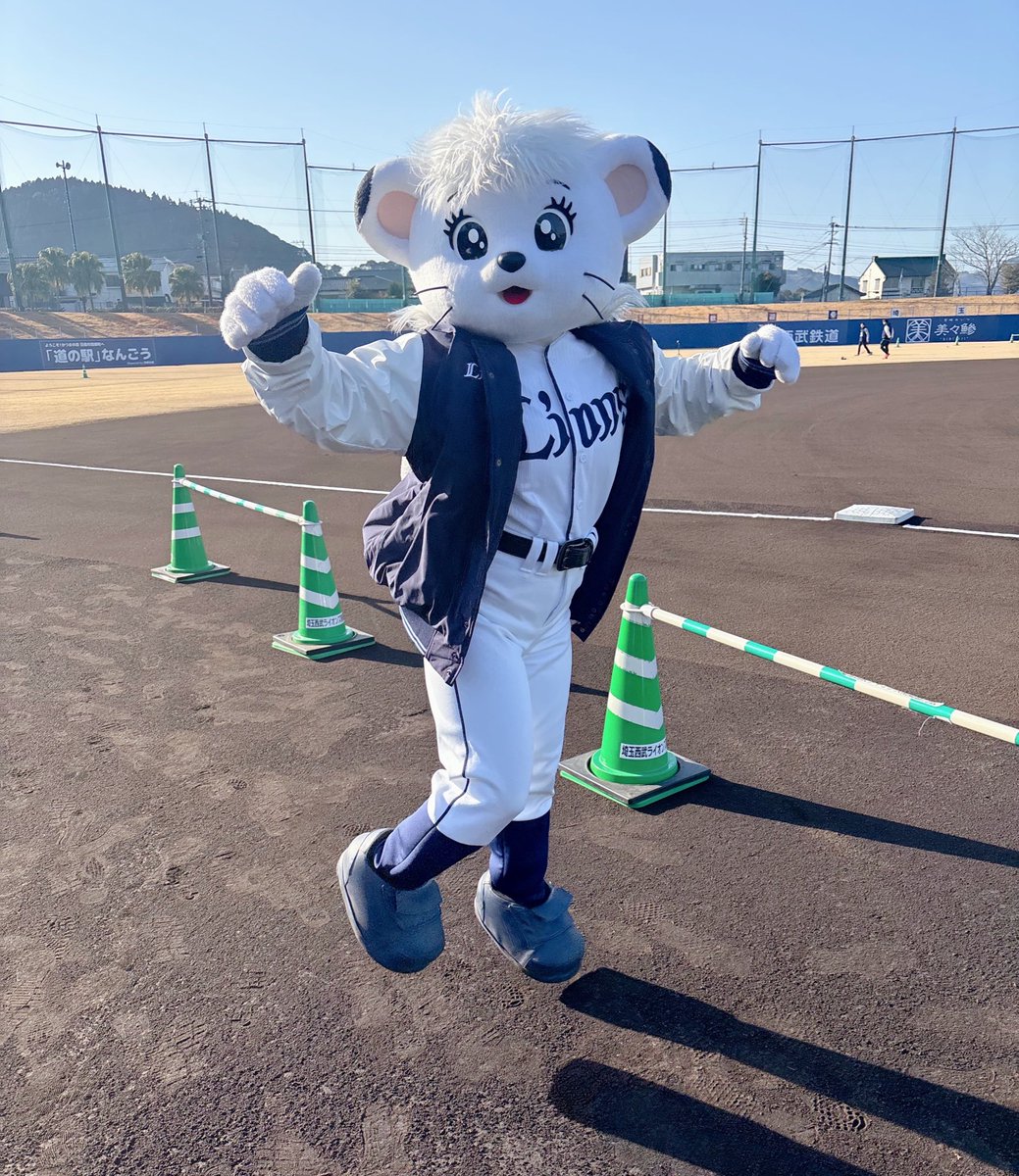 ライナ (@lions_lina) / Posts / X