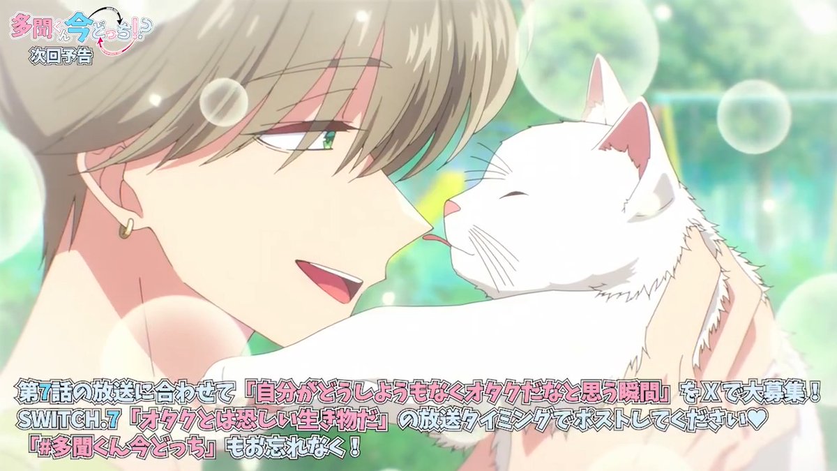 TVアニメ「多聞くん今どっち！？」公式 (@Tamon_anime) / Posts / X