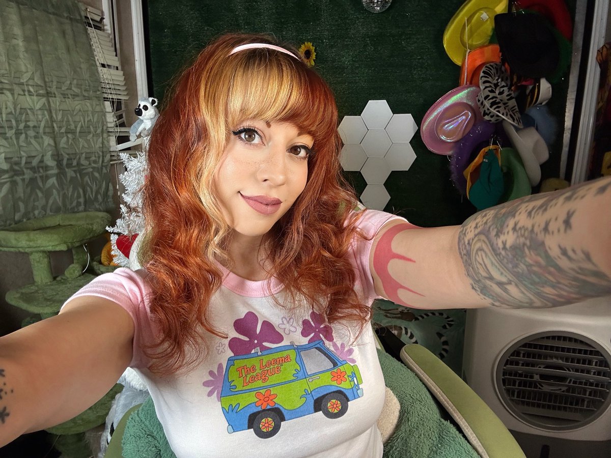 leemaleestream tweet media