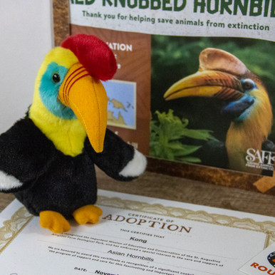 StAugAlligatorFarm tweet media