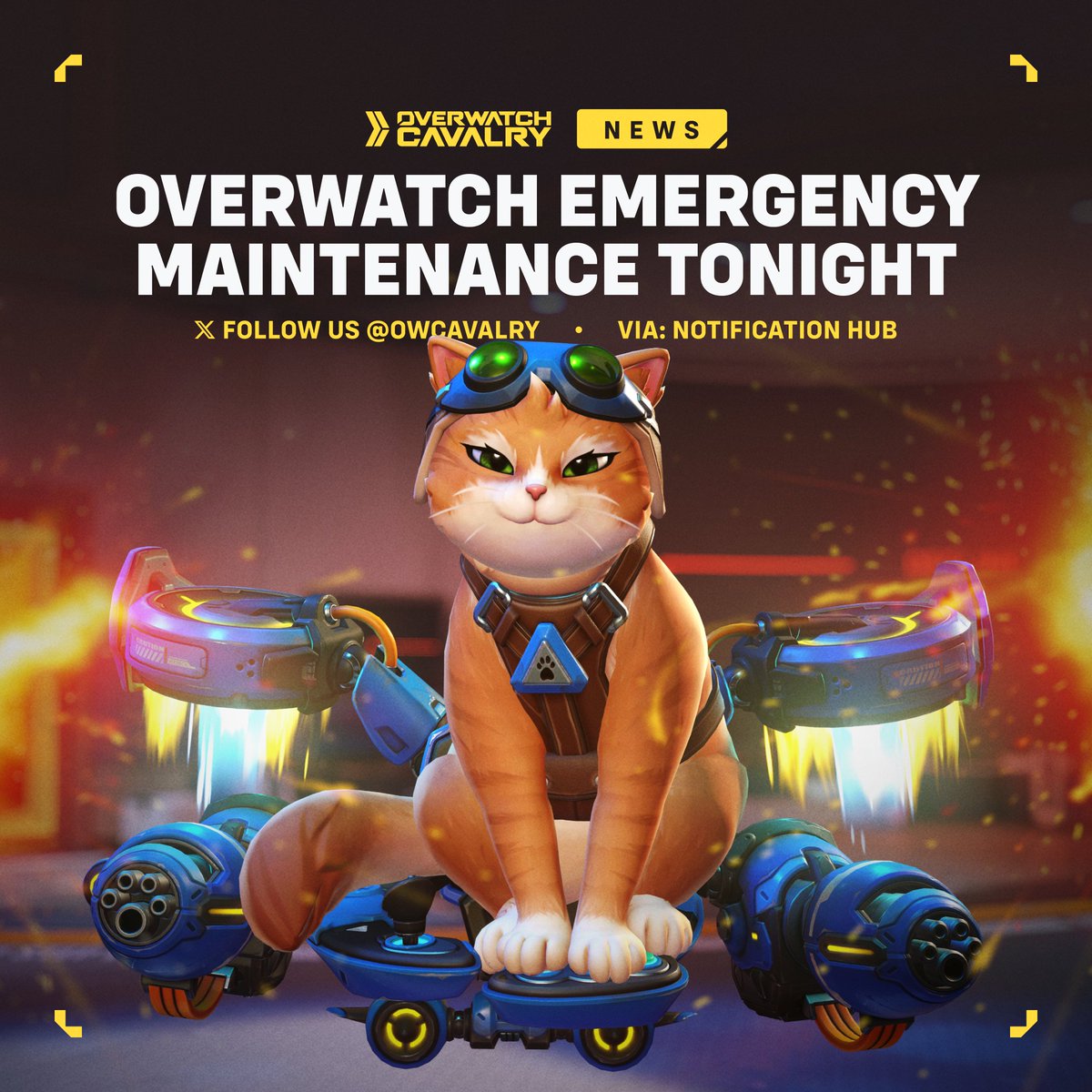 Overwatch Cavalry tweet media