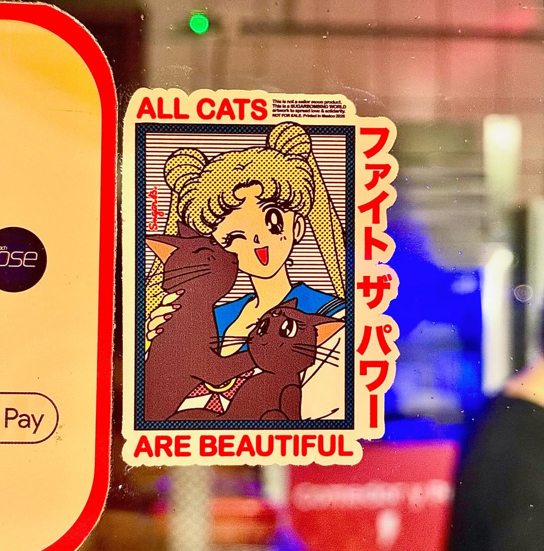 ばにあんぬ💍🐇 (@BUNNYoxo) / Posts / X