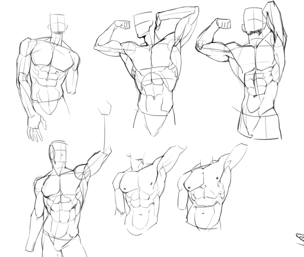 근육 드로잉을 더 간결하게 하고싶음