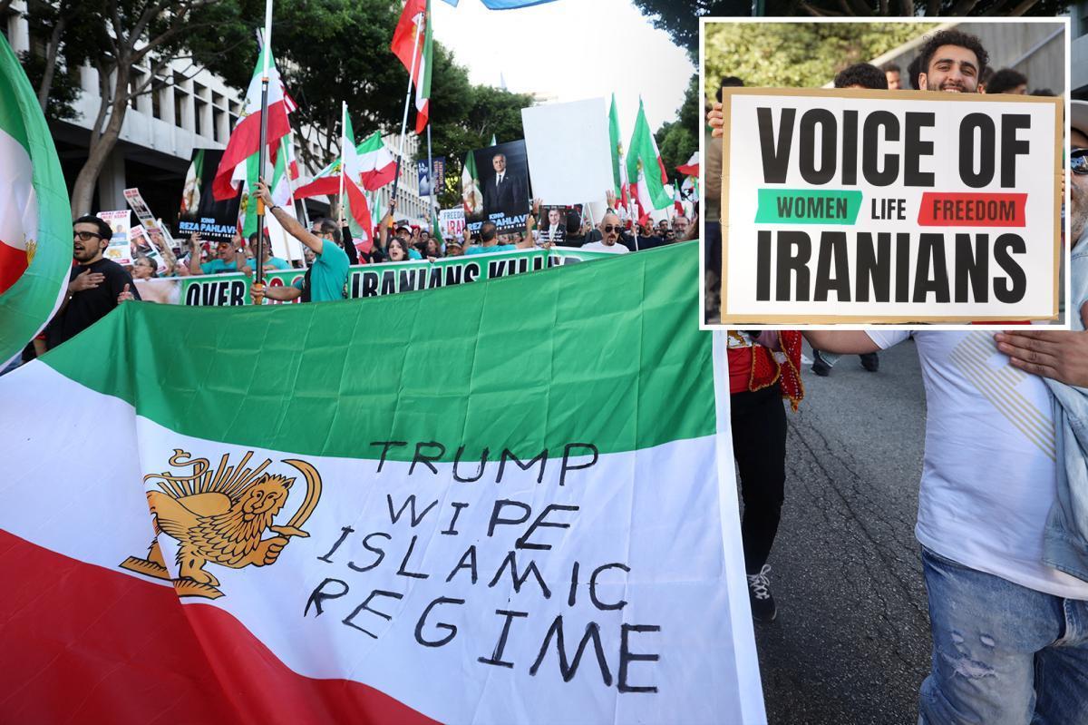 Thousands expected to flood downtown LA for Iranian ‘Global Day of Action’ protest at City Hall nypost.com/2026/02/13/us-…