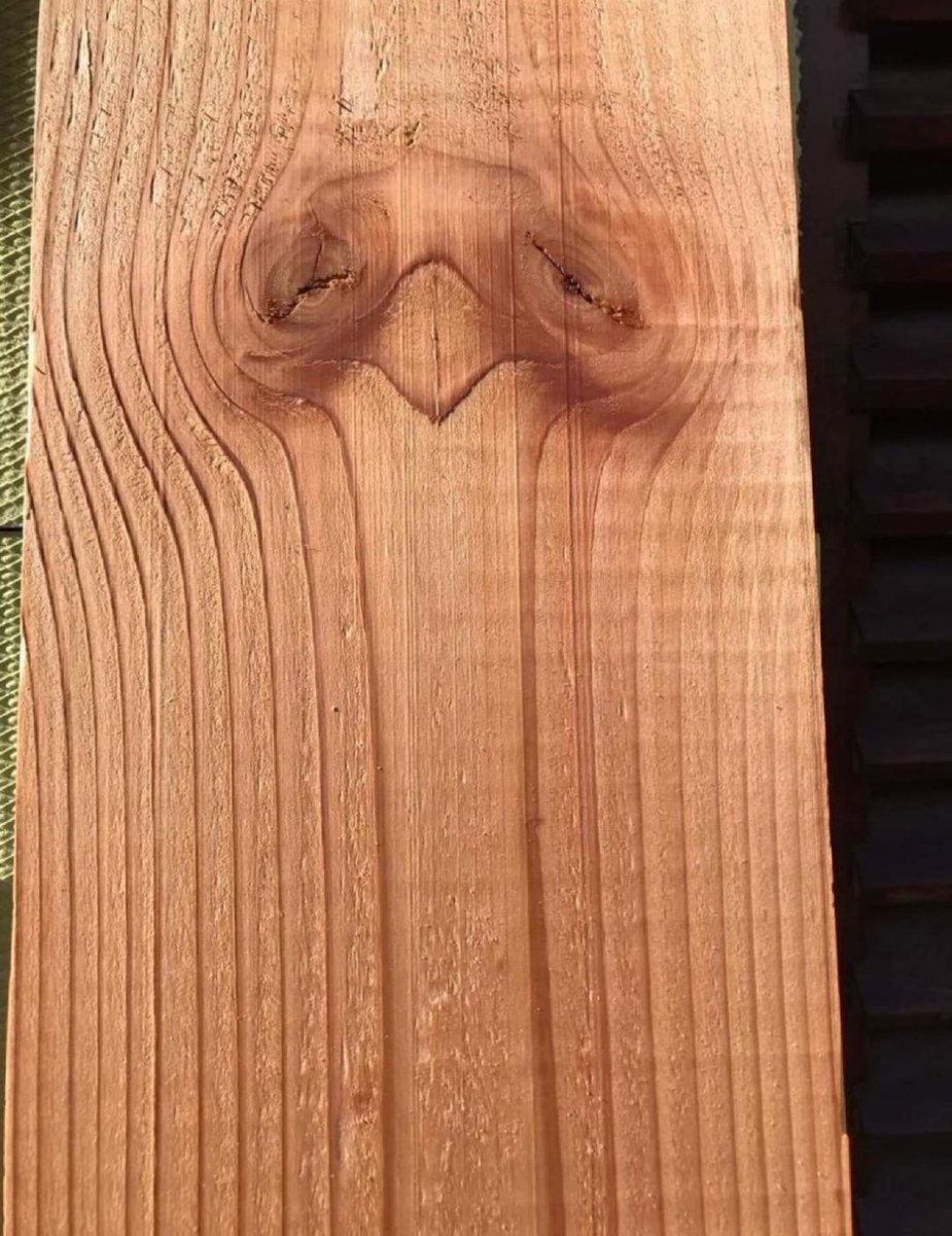 LadyValor tweet media