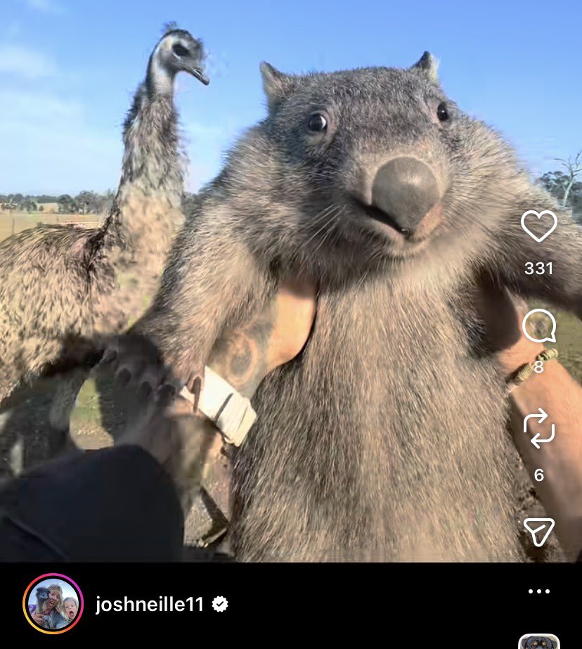 相変わらず情報量が多いジョシュさんのインスタ