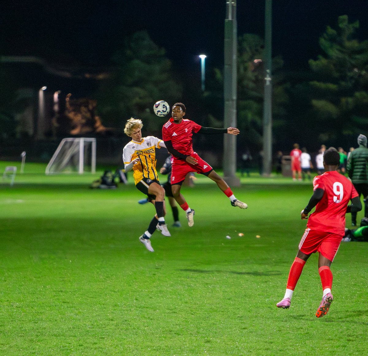 7EliteAcademyUK's tweet image. USA TOUR 🇬🇧🇺🇸🇿🇦 Our teams from the UK, @MarineAFC and #7EliteCapeTown finalised preparations for the @LVMayorsCup with a series of international friendlies 🤝

JOIN US 👇
🌐 uk.7eliteacademy.com/join/
📲 DM
📥 uk@7eliteacademy.com

#7EliteAcademyUK | #USCollegeSoccer