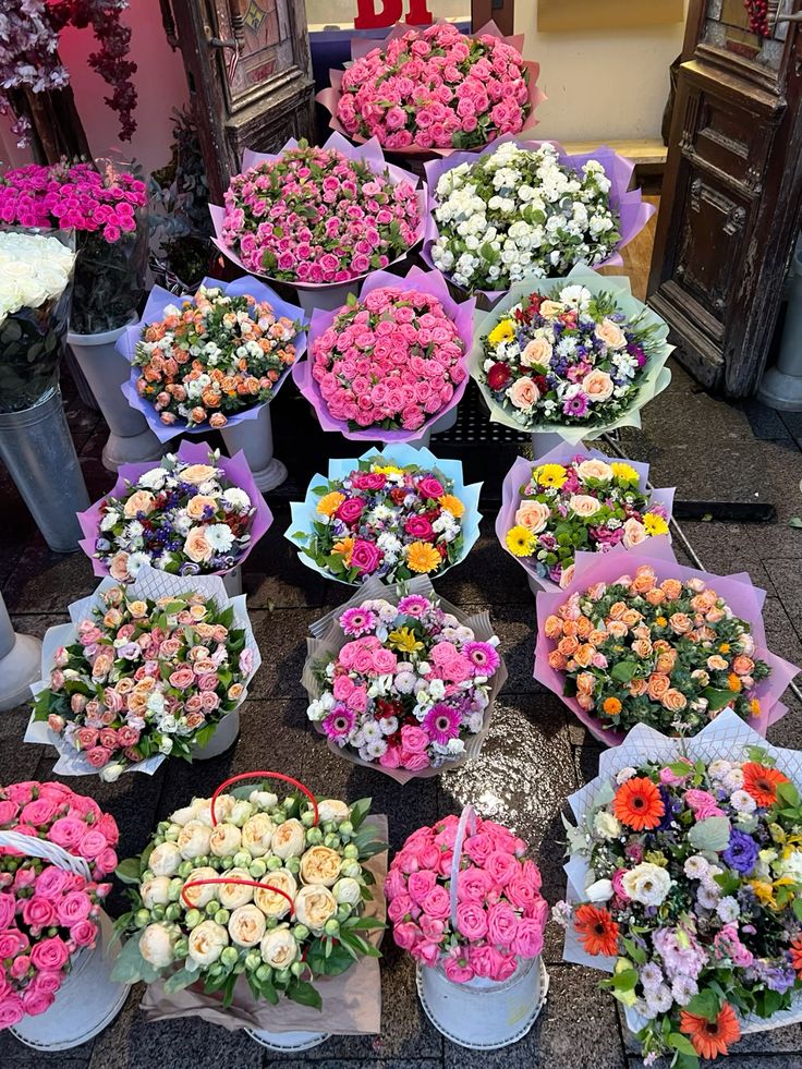 𝓣𝓱𝓮𝓑𝓵𝓸𝓼𝓼𝓸𝓶𝓢𝓽𝓾𝓭𝓲𝓸 tweet media