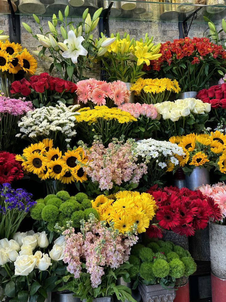 𝓣𝓱𝓮𝓑𝓵𝓸𝓼𝓼𝓸𝓶𝓢𝓽𝓾𝓭𝓲𝓸 tweet media