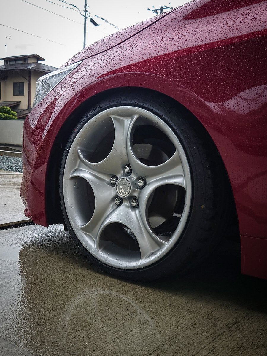 #この車を選んだ理由

普通のセダンでMT、ベース車として被りづらい。パルティーレモーダが合いそうな車。手持ちのホイールでも遊べそうだった。