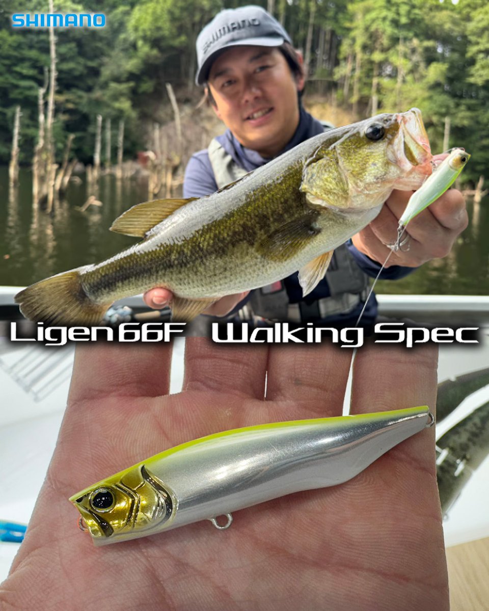 lurenewstv's tweet image. シマノのバス用ペンシルポッパー「ライゲン66F」に、よりドッグウォークに特化したNEWモデルが登場！

バスはもちろん、シーバスやチヌトップにも対応するフリースタイルなペンシルポッパーとなっています。詳しくは記事をチェック！

lurenewsr.com/415123/

#シマノ #shimano