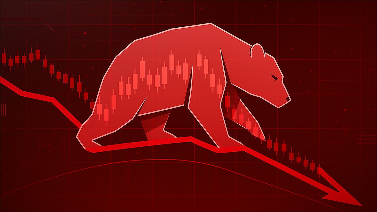 Biggest Large-Cap Losers for Feb 13, 2026:
$PINS -16.83%
$DKNG -13.51%
$RYAN -12.78%
$FLUT -11.46%
$STZ -8.04%
$AMKR -7.97%
$NVR -7.27%
$EXPE -6.41%
$BWA -5.63%
$BLDR -4.84%

Research on financecharts.com/screener/bigge…