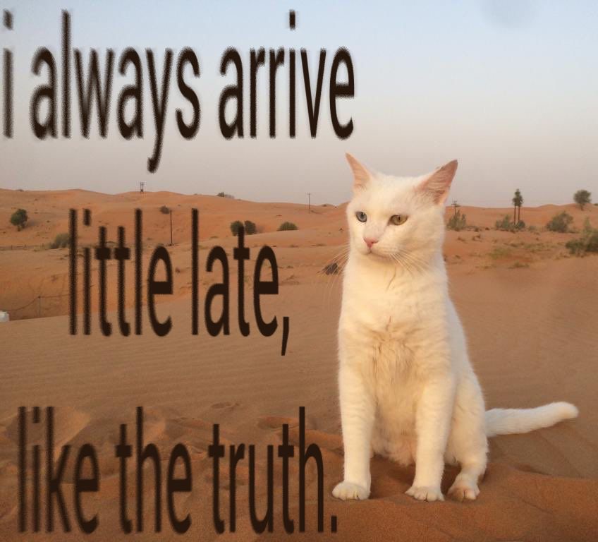 CatPosted's tweet photo. https://t.co/uo7WUF1Cyb