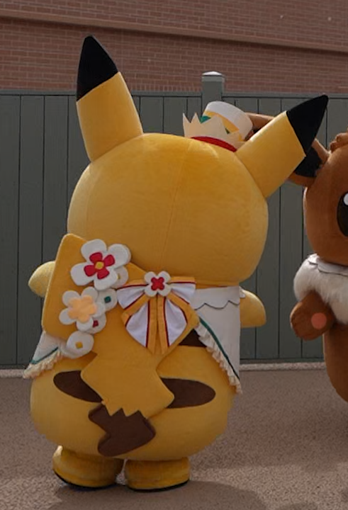 ポケパークカントー 限定 ピカチュウ イーブイ ぬいぐるみ カーニバル