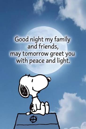 Goodnight X family! Thought of the day: US citizenship is not a currency, it is a privilege and must be earned for those not born here. 

For those who were born here and think otherwise, you, too, are welcome to leave. We Patriots encourage it. 

Sleep well my friends!