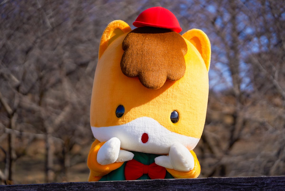 やっほ〜🐴

#ぐんまちゃん #群馬