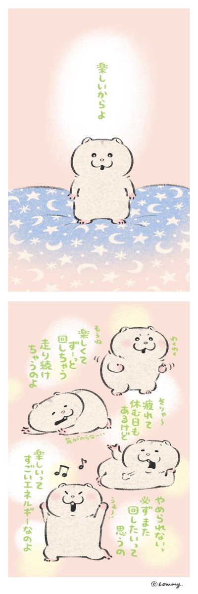 ねここ＠ぷちポケ (@nekoko213) / Posts / X