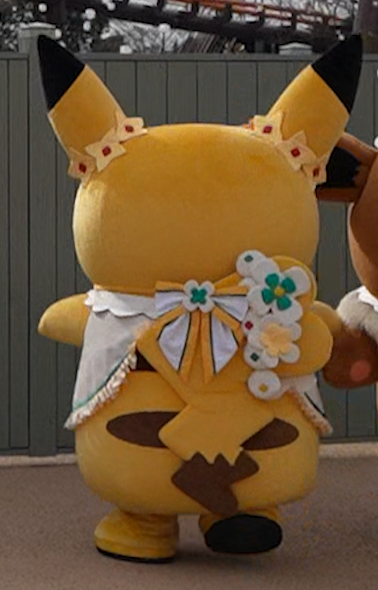 ポケパークカントーのカヤツリタウンで、手をつないで回転する