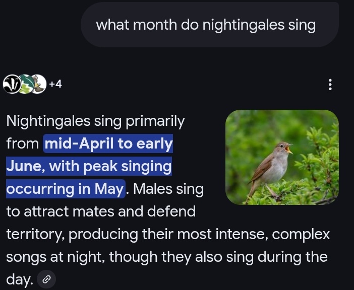 "and there are nightingales..." 🎶🎶🎶