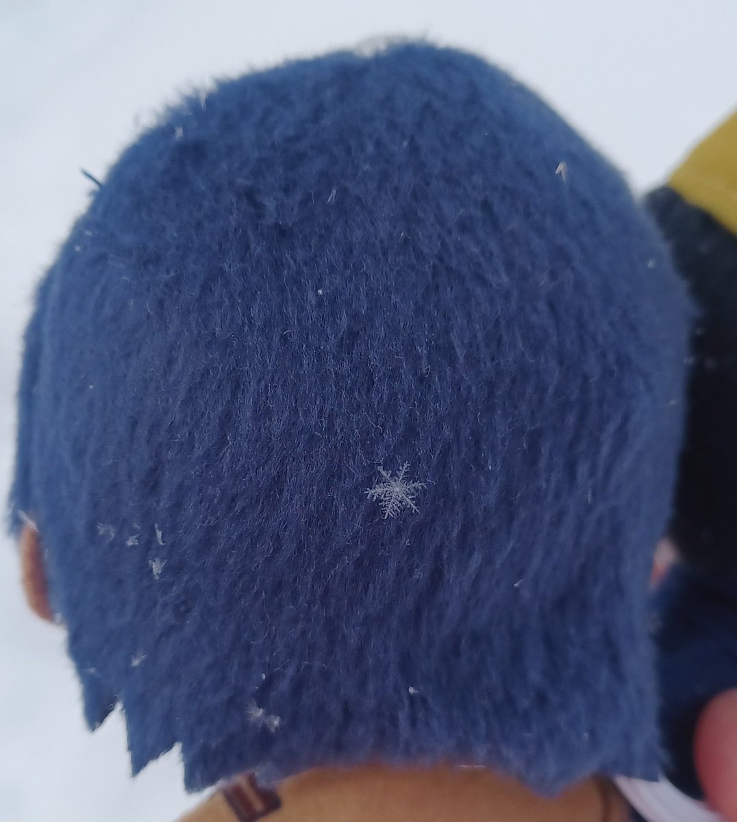 雪の結晶✨東京じゃこんな綺麗なの見れないよね