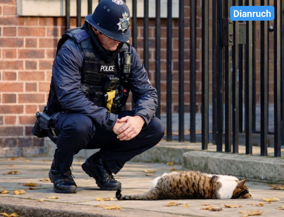 Dr Mariana Claire Marinovic 🏴󠁧󠁢󠁥󠁮󠁧󠁿🇮🇲 tweet media