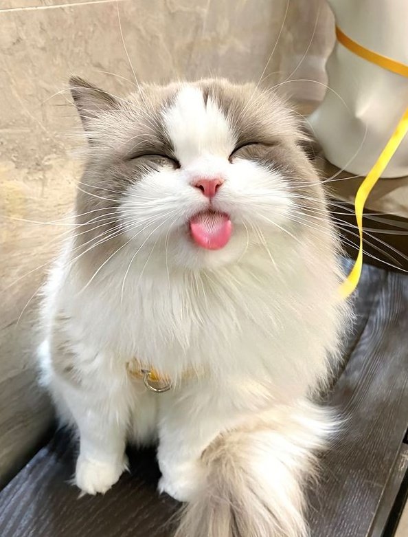 ppyjna's tweet image. เเบร่