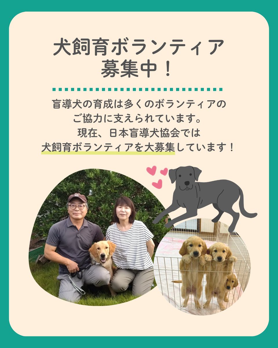 日本盲導犬協会 / Japan Guide Dog Association tweet media