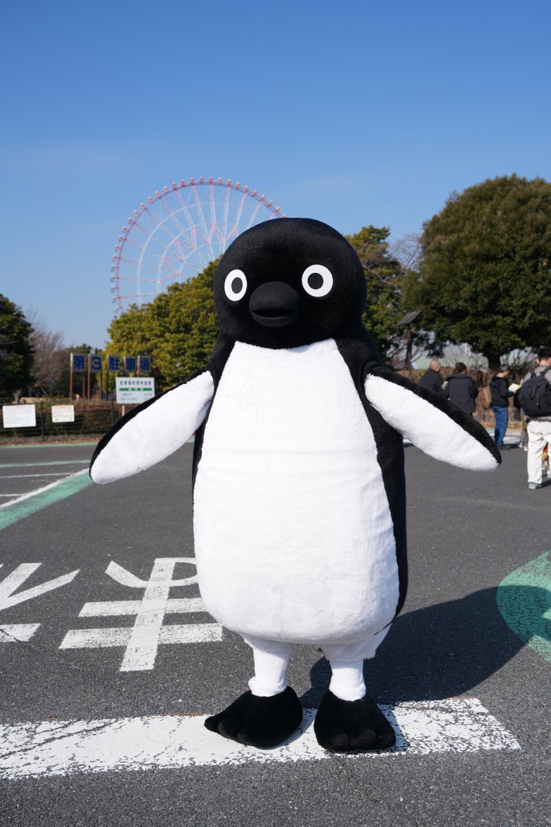 Suicaのペンギン ちゃん、はじめまして！ 動きの一つ一つがおだやかで