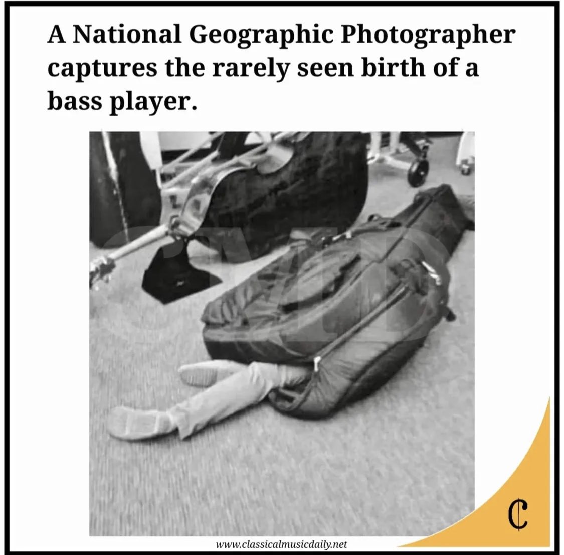 playinglesshurt's tweet image. #jokeoftheday thine for a #bass players joke: It was a tough birth. Or a lovely nap!  #music