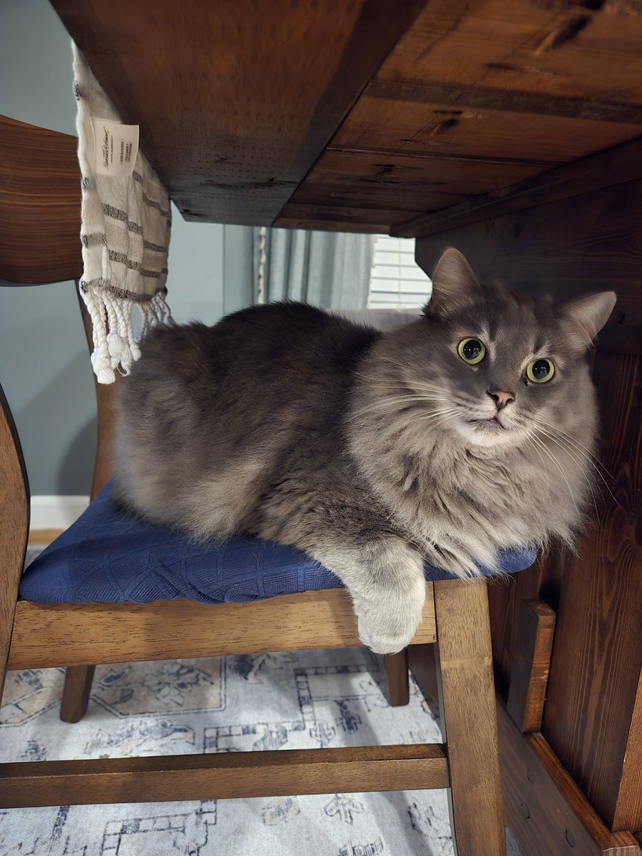 Brittany Bierman tweet media