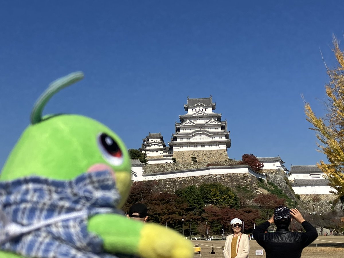 新宿駅で相棒のニョロトノを無くしました。
リュックが空いてて知らぬ間にこぼれ落ちてました。
不甲斐ない。
青いシャツを羽織ってお守り肩にかけてます。
拾われた方がいらっしゃいましたら最寄りの交番に届けていただけますと幸いです。
よろしくお願いいたします。