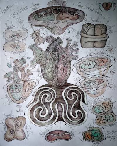 On this lovely weekend, here to remind you that your heart is not a pump. It’s a spiral vortex of living electrical structured fluids. Dr. Tom Cowan speaks about this.