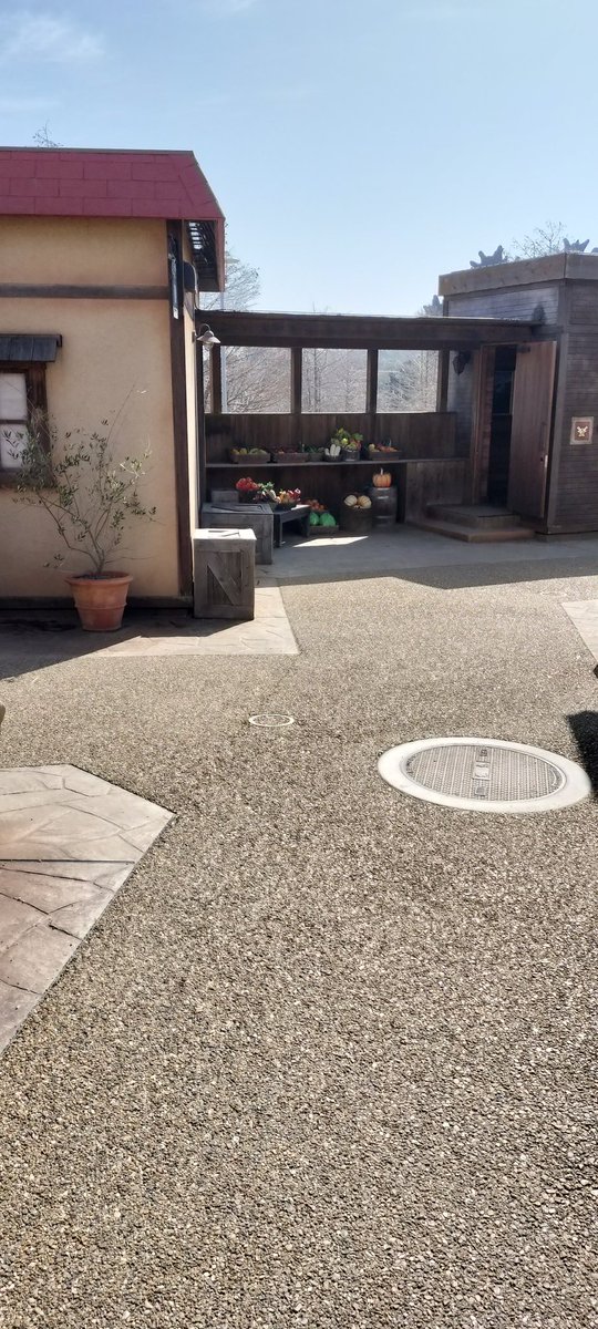aiaiaiday's tweet photo. ＃ニジゲンノモリ
＃ドラゴンクエスト
＃ドラゴンクエストアイランド
＃淡路島 https://t.co/bk1mUMHwMI