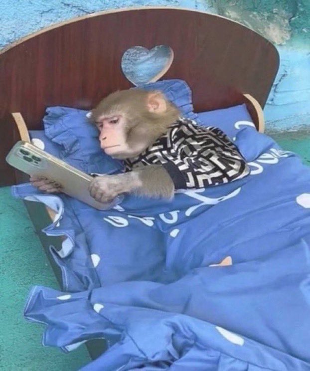 man sized homunculus tweet media