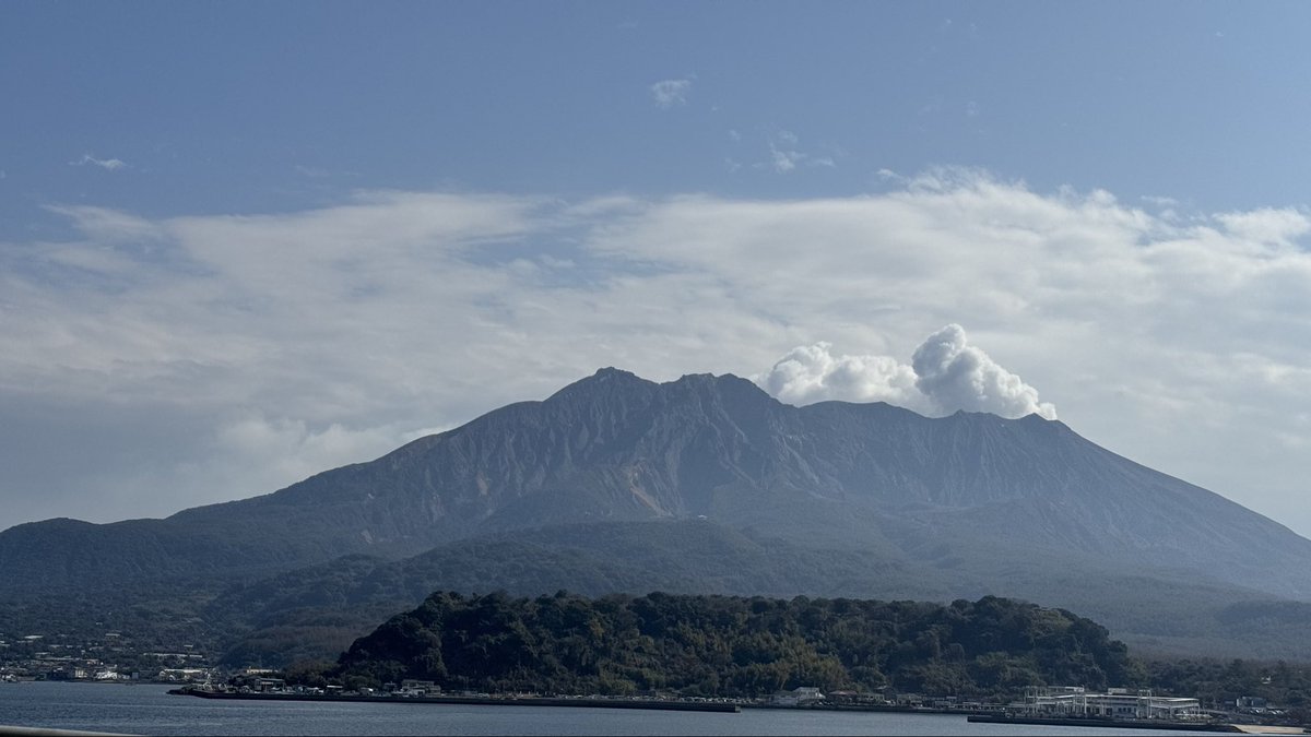 ひまわりさん tweet media