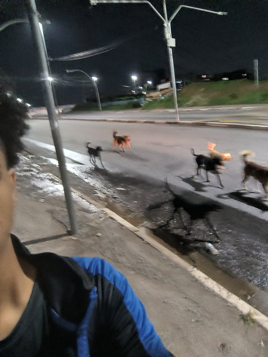 lince negro ⚡ tweet media