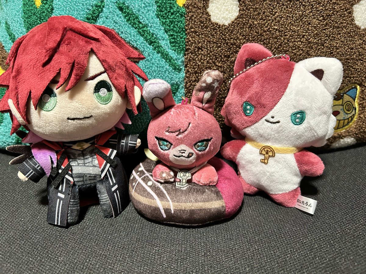 最近お迎えした綿たち