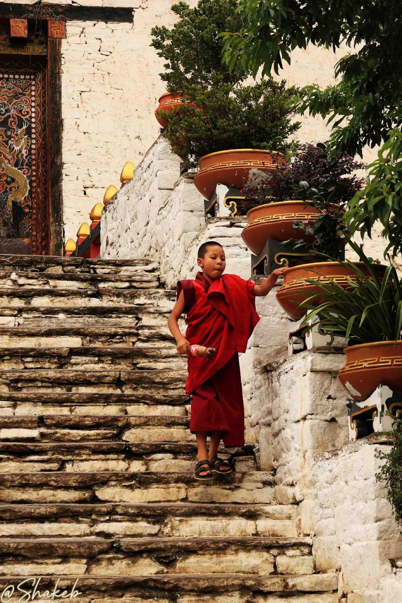 Shakeb Nabi tweet media