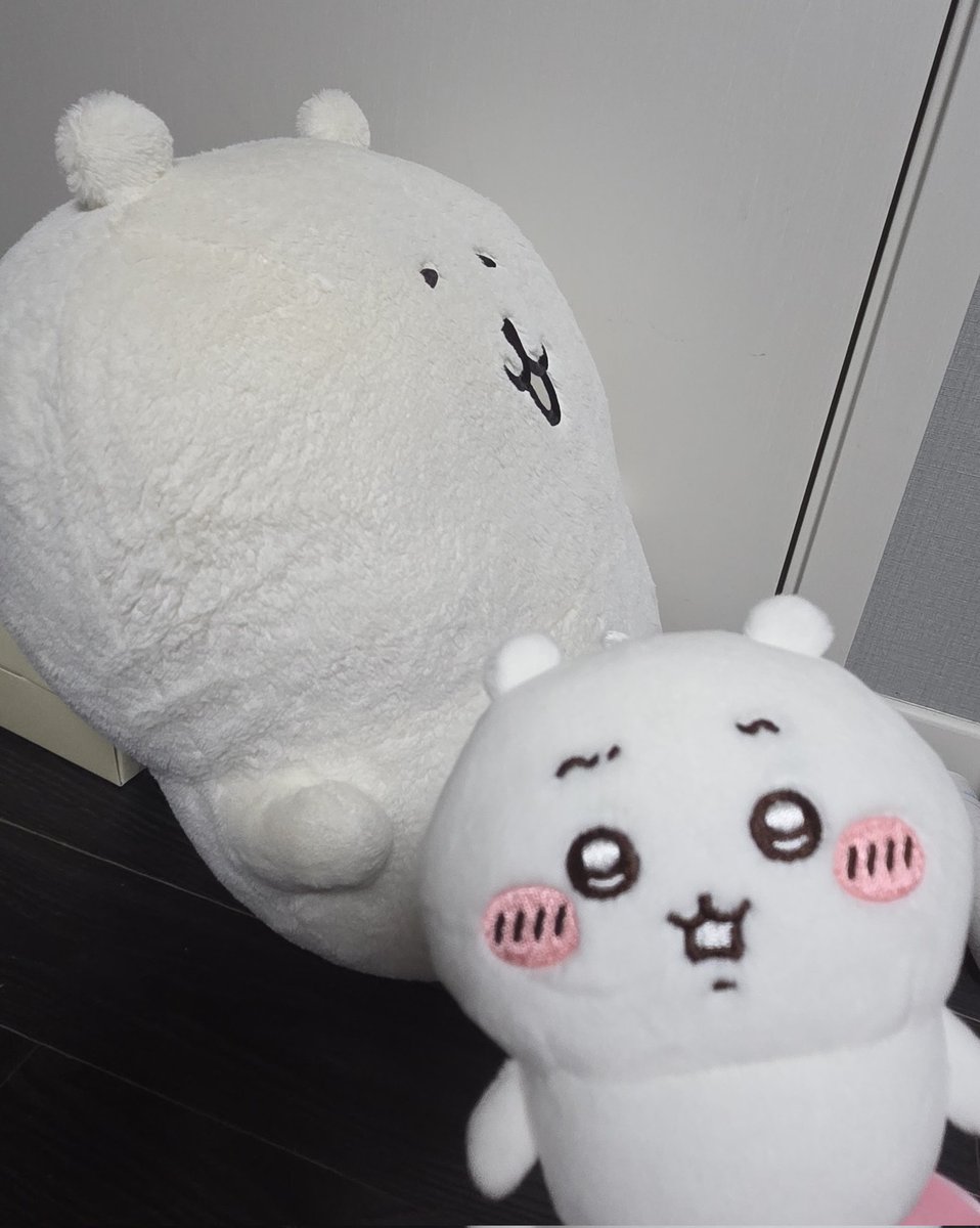 TtaengGulami's tweet photo. 곰 넘 대지라 치이가 놀랐음 https://t.co/F6gBefuR1F