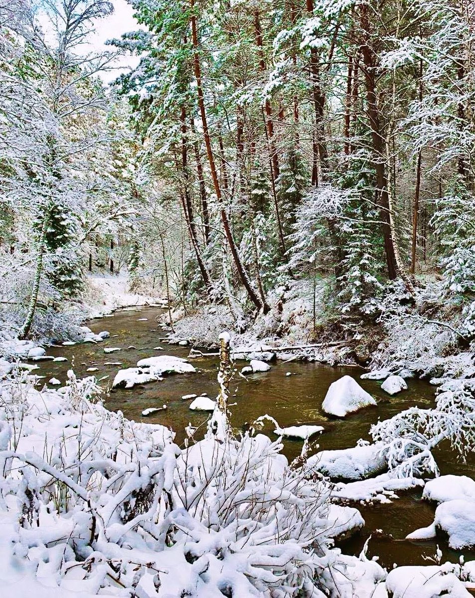 Алтай. Речка Белокуриха…