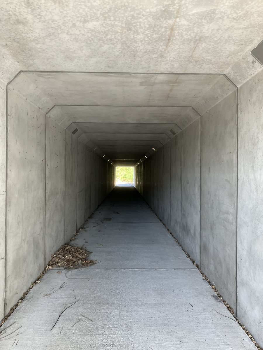 ひとう tweet media