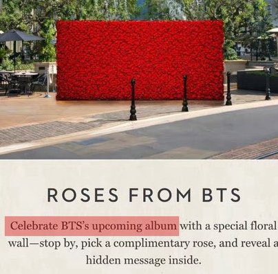 ᴅᴀɴɪ⁷⊙⊝⊜ tweet media