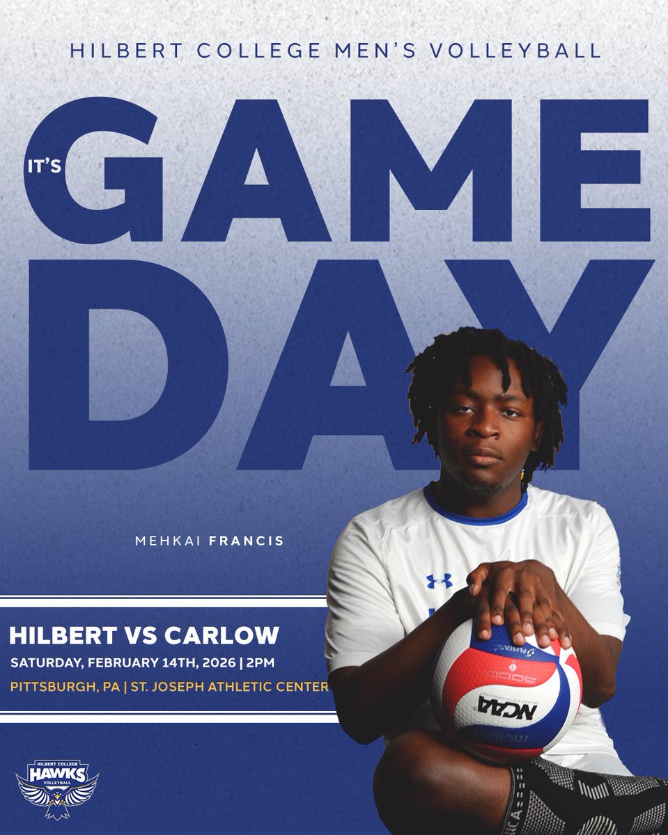 Hilbert Volleyball tweet media