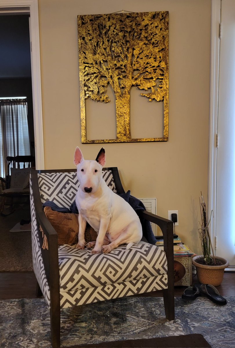 Mark Darling tweet media