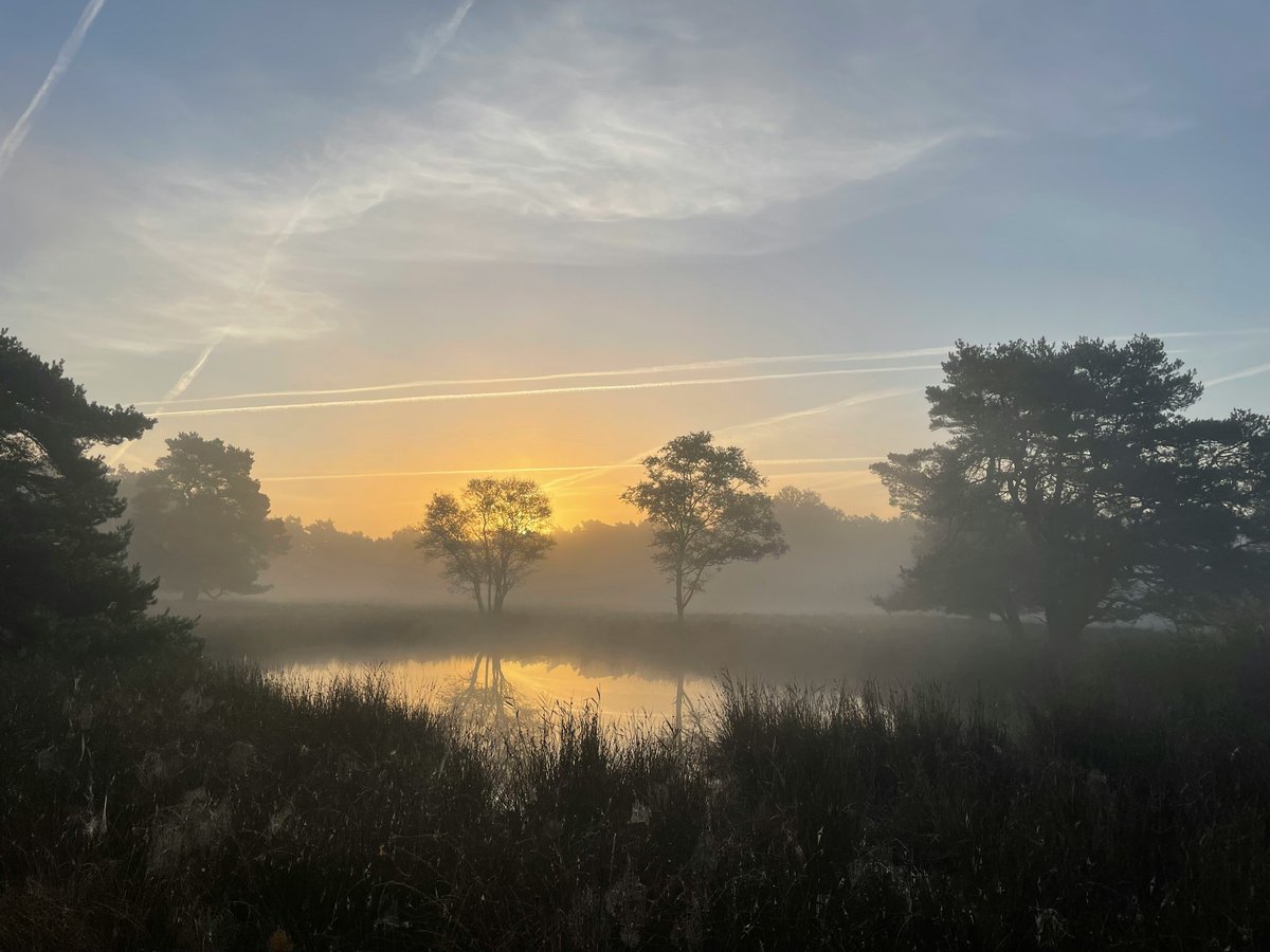 けんさん💛旅する写真家💚ありがとう魔法のカウンセラー🪄✨💫🌟 tweet media