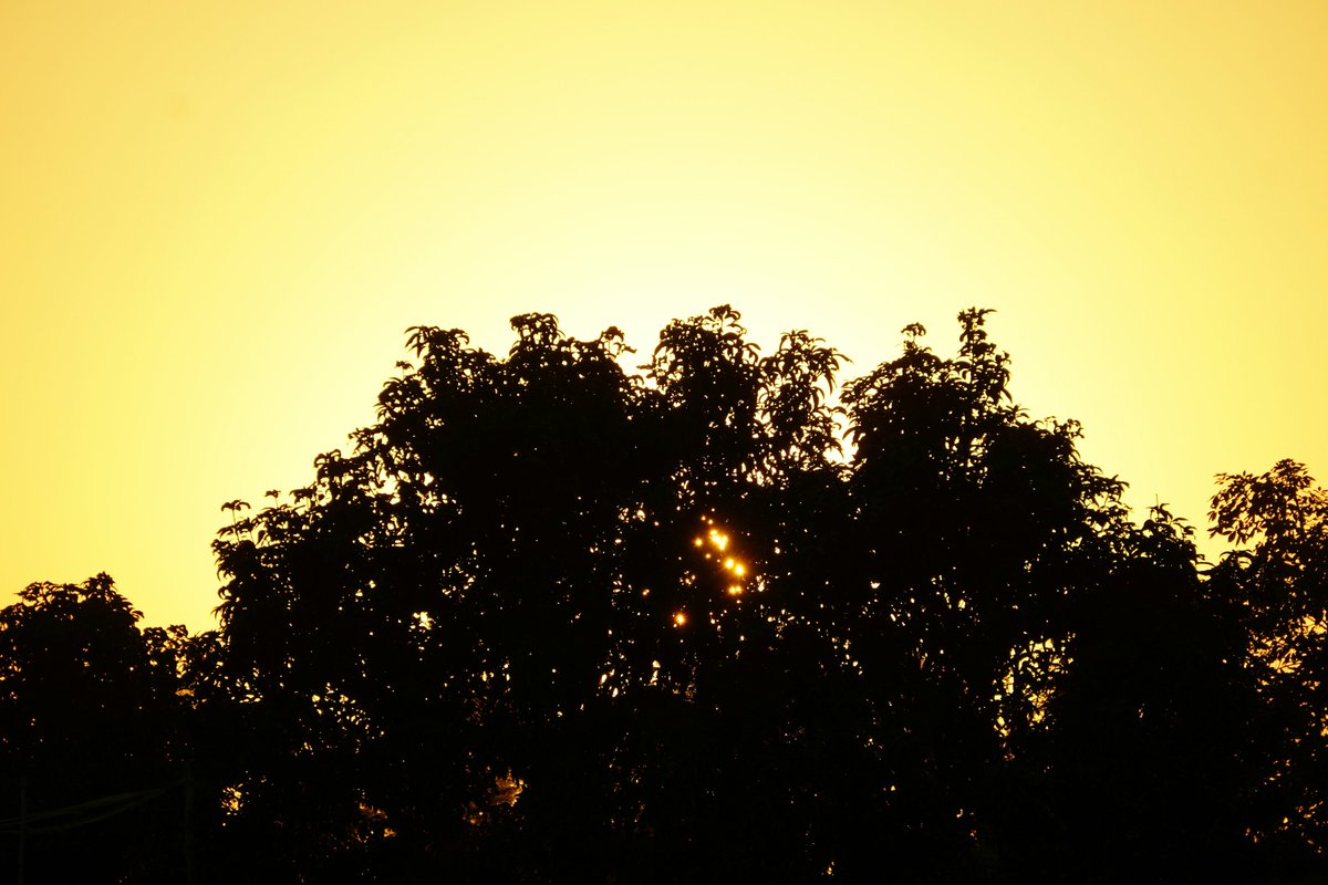 けんさん💛旅する写真家💚ありがとう魔法のカウンセラー🪄✨💫🌟 tweet media