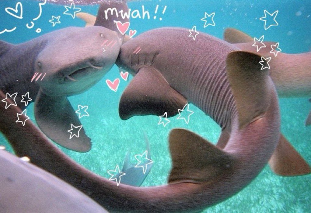 Me & Who? (@tagyourwho) on Twitter photo 