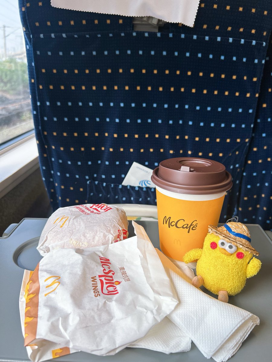 ポインコと山歩き🐥🐥🐾 (@paopaopanda_jp) / Posts / X